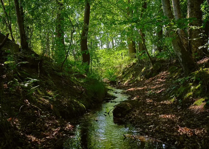 Debowisko Semesterbostad